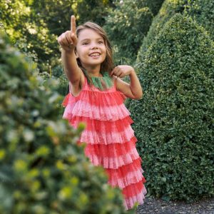 Strawberry Tulle Dress-Red/Pink