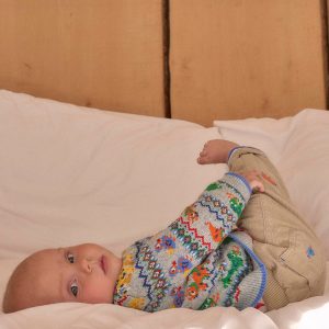 Fair Isle Button Jumper-Grey Marl Prehistoric Animals