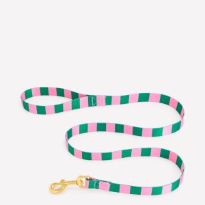 Dog Lead-Green/Pink Stripe