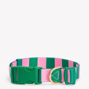 Dog Collar-Green/Pink Stripe
